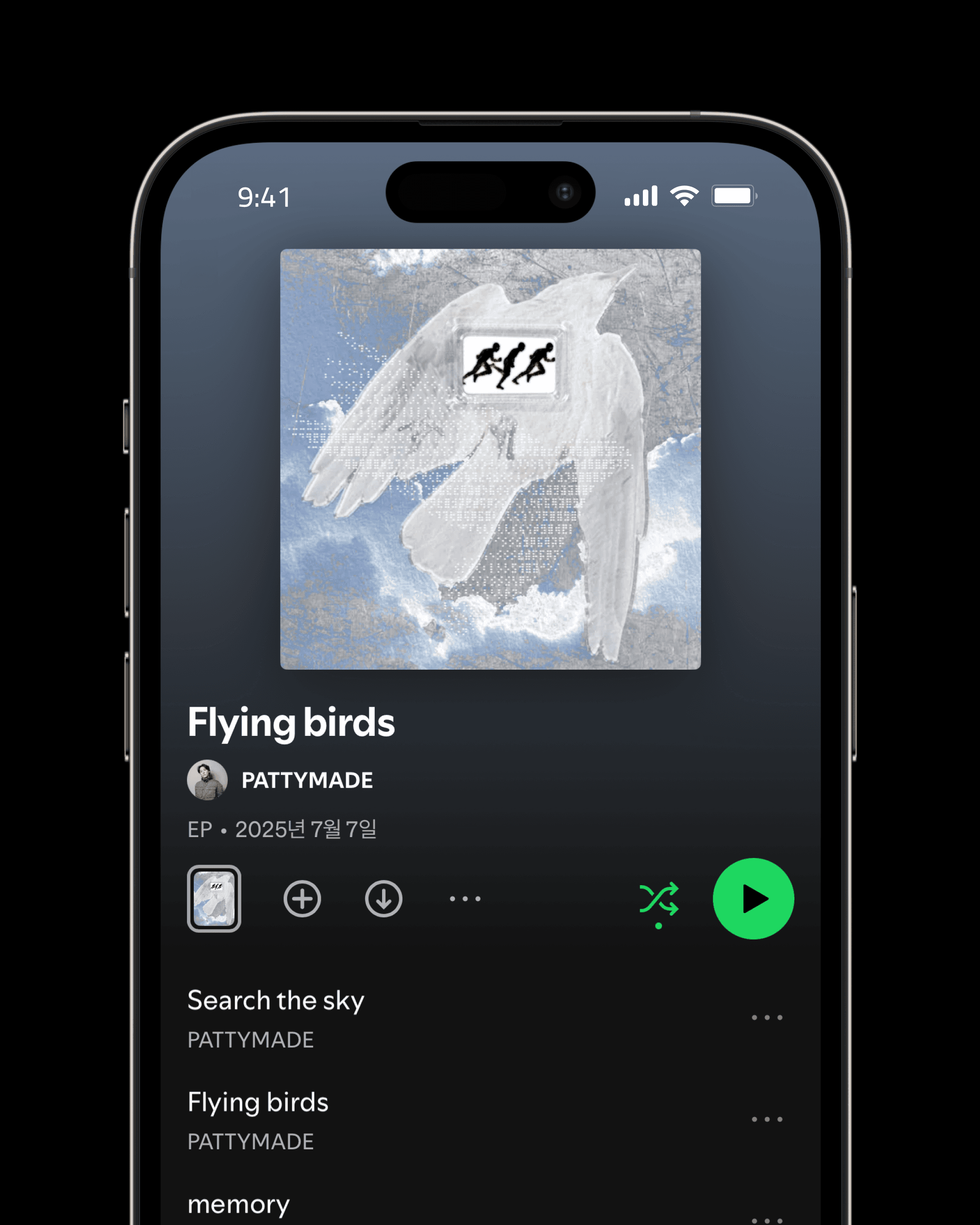 Flying Birds — EP Cover thumbnail
